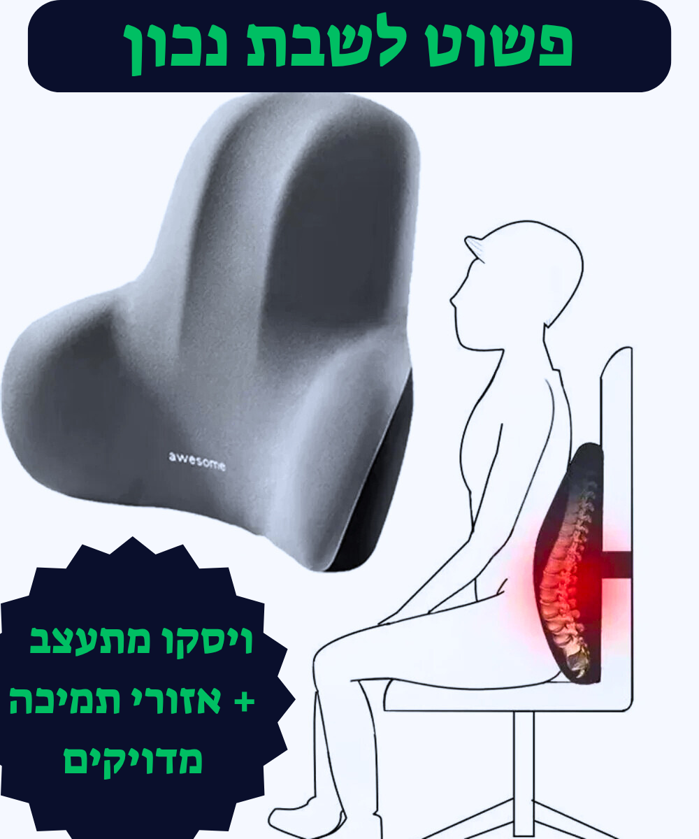 כרית תמיכה לגב – לרכב, למשרד ולכל ישיבה!